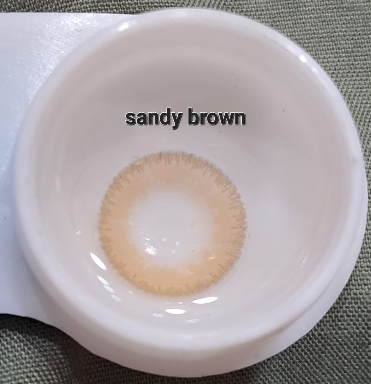 Sandy Brown